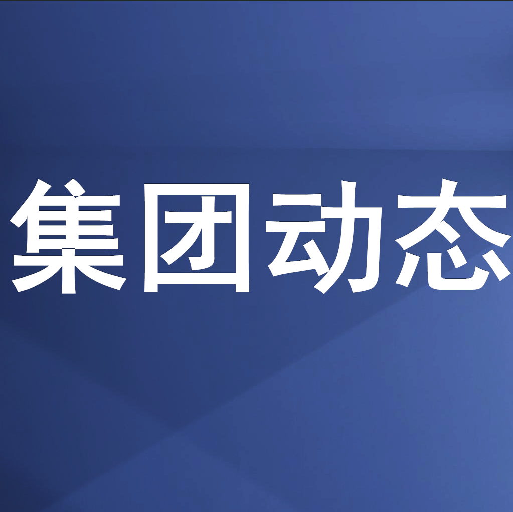 綿投集團召開“防風(fēng)險·護穩(wěn)定·保世運”工作暨 安委會第三次全體成員視頻會議